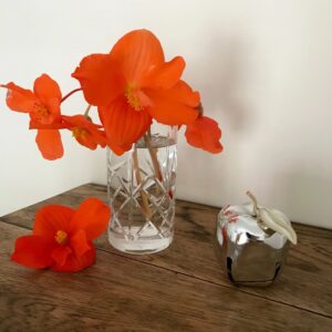 A still life with begonias in a crystal glass