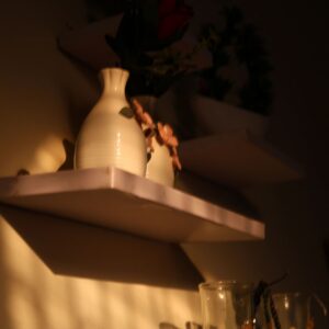 Shadow Art